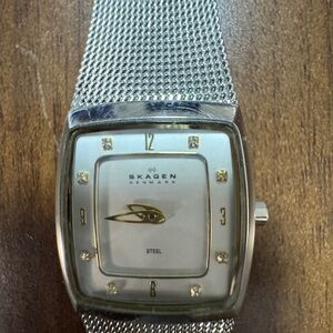 Skagen Silver and Gold Mesh Watch